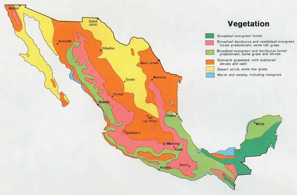 지도 멕시코의 natual 자원